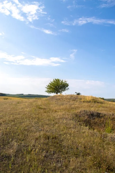 Podzimní krajina za slunečného dne mimo město. — Stock fotografie