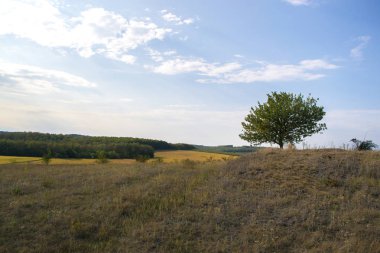 Şehir dışında güneşli bir sonbahar manzara.