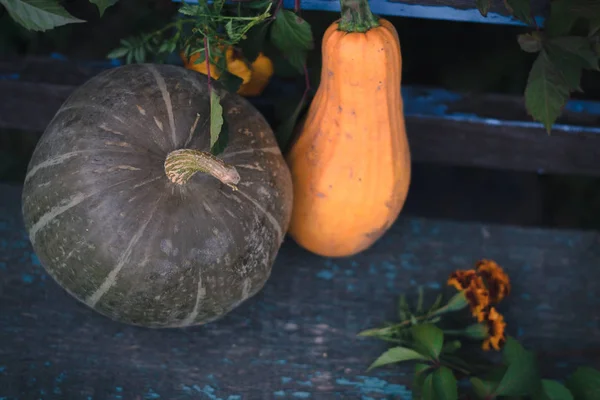 Citrouille sur des planches en bois avec un fond flou . — Photo