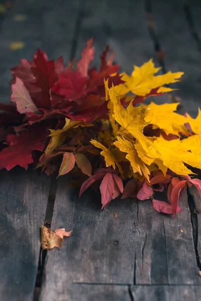 Autumn listowie na stary ciemne podłoże drewniane. — Zdjęcie stockowe