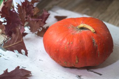 Cadılar Bayramı Balkabağı beyaz doğal ahşap zemin üzerinde.