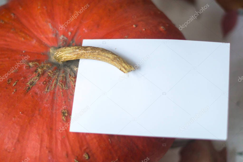Pumpkin on a natural wooden white background mocap.
