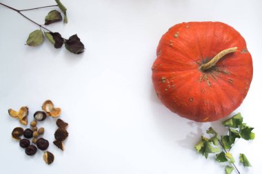 Cadılar Bayramı Balkabağı üzerinde beyaz arka plan kavramı sonbahar.