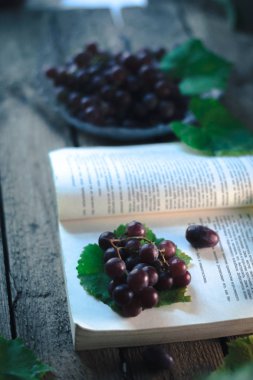 Sonbahar Natürmort: üzüm ahşap arka plan üzerinde bir kitapla.