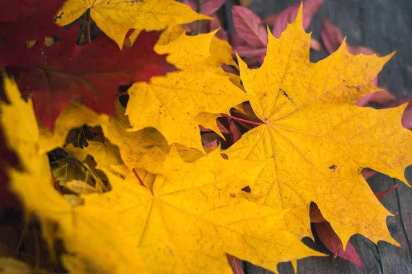 Autumn listowie na stary ciemne podłoże drewniane. — Zdjęcie stockowe