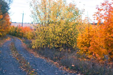 Sonbahar bir bulutlu Ekim gün yolda.