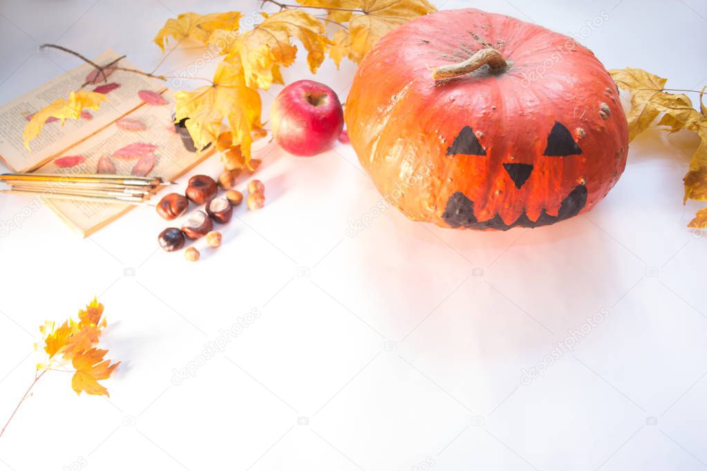 Halloween pumpkin on a white background concept autumn.