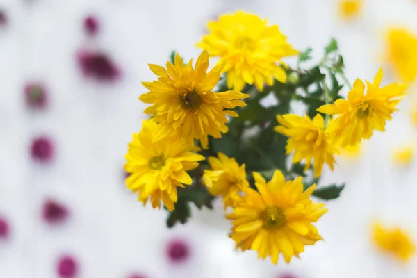 Gele bloemen op een witte houten achtergrond. — Stockfoto