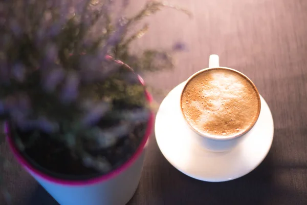 Una taza de café cerca de una planta en una olla con un fondo borroso . — Foto de Stock