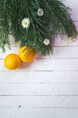 Beyaz ahşap zemin üzerine mandalina ile Noel ağacı dalı.