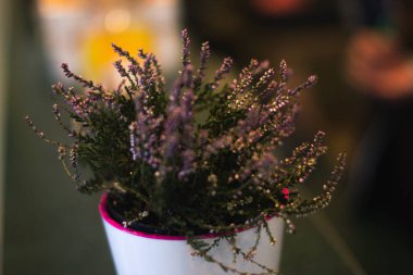 Bir pot ile arka plan bulanık bir kafede bir tencerede.