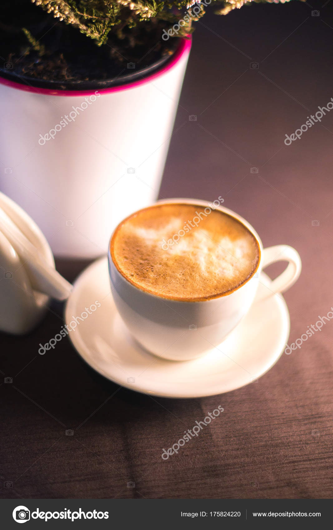 Eine Tasse Kaffee In Der Nähe Einer Pflanze In Einem Topf