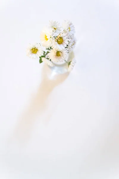White flowers on a white wooden background. — Stock Photo, Image
