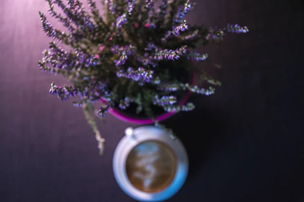 Una taza de café cerca de una planta en una olla con un fondo borroso . —  Fotos de Stock