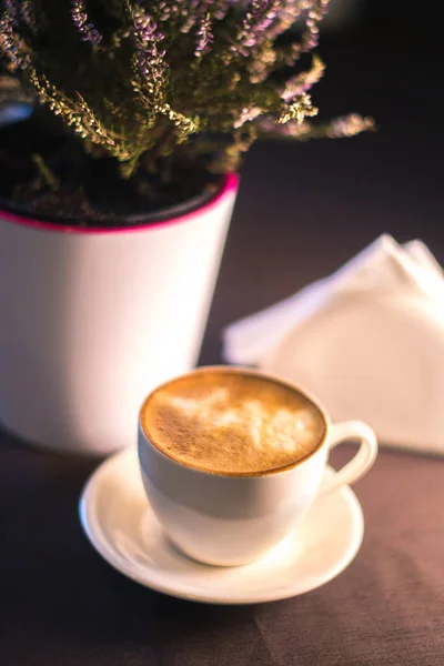 Una taza de café cerca de una planta en una olla con un fondo borroso . — Foto de Stock
