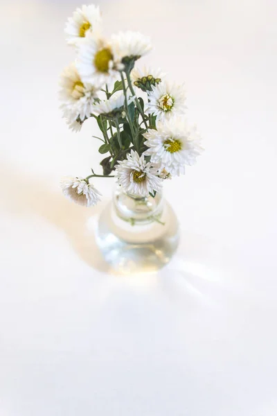 White flowers on a white wooden background. — Stock Photo, Image