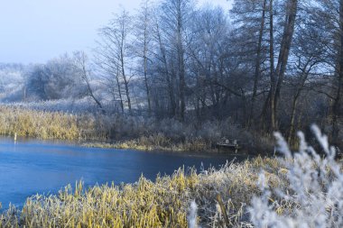 Bir soğuk kış sabahı sabah peyzaj havuz.