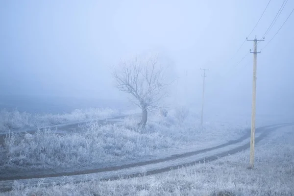 Frosty misty morning landscape in the village. — Stock Photo, Image