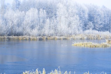 Bir soğuk kış sabahı sabah peyzaj havuz.