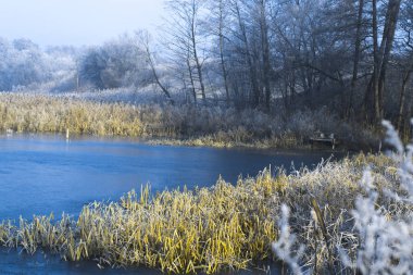 Bir soğuk kış sabahı sabah peyzaj havuz.