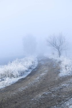Soğuk sisli sabah manzara Köyü.