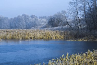 Bir soğuk kış sabahı sabah peyzaj havuz.