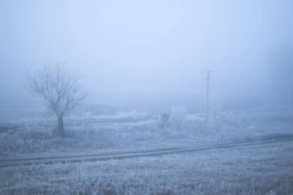 Paysage matinal brumeux givré dans le village . — Photo