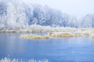 Bir soğuk kış sabahı sabah peyzaj havuz.