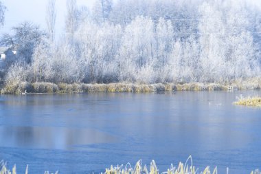 Bir soğuk kış sabahı sabah peyzaj havuz.