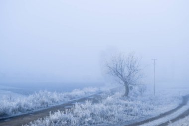 Soğuk sisli sabah manzara Köyü.