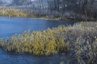 Bir soğuk kış sabahı sabah peyzaj havuz.