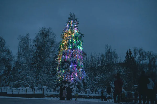 Árvore de Ano Novo em grinaldas no inverno na cidade . — Fotografia de Stock