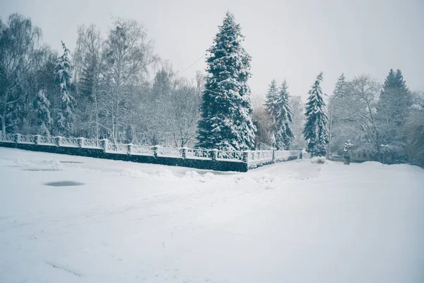 Wintertag im Schneefall in der Stadt. — Stockfoto