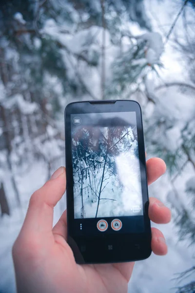 Gezgin bir smartphone karlı kış orman fotoğraf arşivi. — Stok fotoğraf