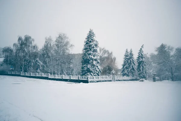 Journée d'hiver dans une chute de neige dans la ville . — Photo