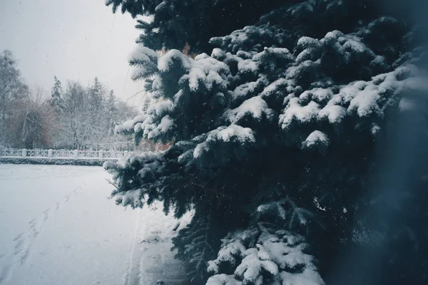 Kış günü kar yağışı şehir içinde. — Stok fotoğraf