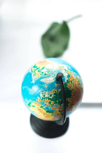 Globe on a white background with a leaf of a tropical plant. — Stock Photo, Image