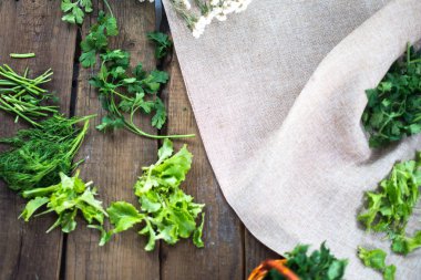 Sivas'tan arka plan üzerinde küçük bir sepet içinde taze yeşil maydanoz yaprakları.