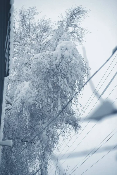 Winter snowfall in the village. Snowy collapse — Stock Photo, Image