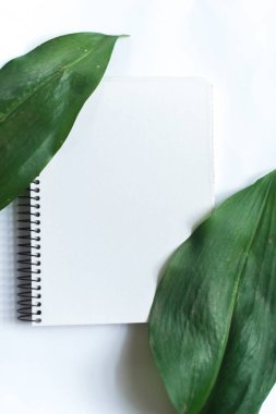 Not Defteri ile beyaz arka plan üzerinde tropik bitkilerin yaprakları.