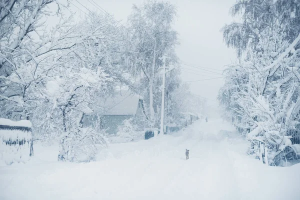 Nieve de invierno en el pueblo. Colapso nevado — Foto de Stock