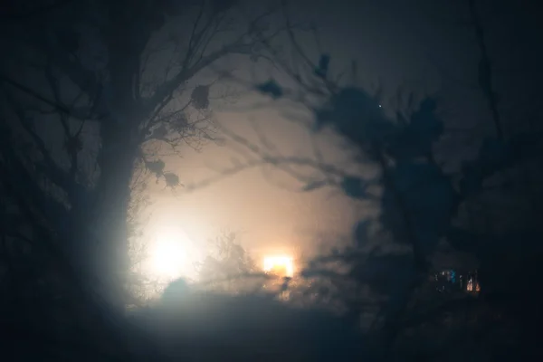 Χειμερινή ομίχλη το βράδυ σε ένα χιονισμένο χωριό. — Φωτογραφία Αρχείου