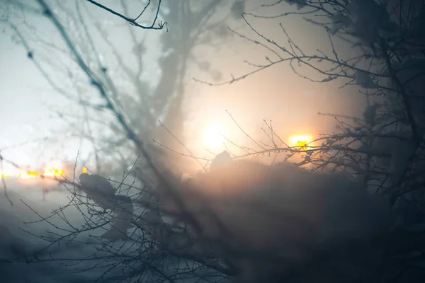 Soirée brumeuse d'hiver dans un village enneigé . — Photo