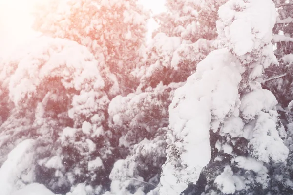 Zimní sněžení v obci. Zasněžené kolaps — Stock fotografie