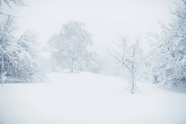 Winter snowfall in the village. Snowy collapse — Stock Photo, Image