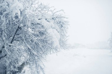Köyün kış kar yağışı. Karlı Daralt