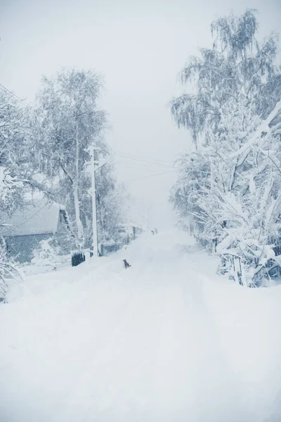 Winter snowfall in the village. Snowy collapse — Stock Photo, Image