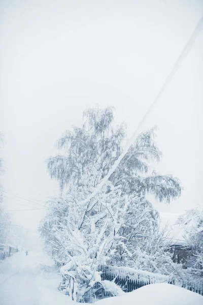 Winter snowfall in the village. Snowy collapse — Stock Photo, Image