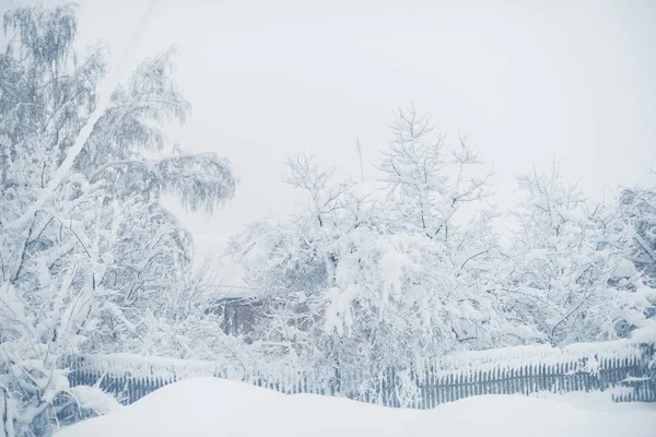 Winter snowfall in the village. Snowy collapse — Stock Photo, Image