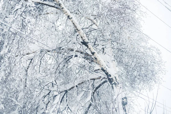 Winter snowfall in the village. Snowy collapse — Stock Photo, Image